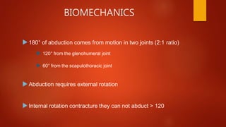 BIOMECHANICS
180° of abduction comes from motion in two joints (2:1 ratio)
 120° from the glenohumeral joint
 60° from the scapulothoracic joint
Abduction requires external rotation
Internal rotation contracture they can not abduct > 120
 