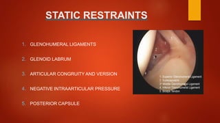 STATIC RESTRAINTS
1. GLENOHUMERAL LIGAMENTS
2. GLENOID LABRUM
3. ARTICULAR CONGRUITY AND VERSION
4. NEGATIVE INTRAARTICULAR PRESSURE
5. POSTERIOR CAPSULE
 