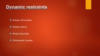 Dynamic restraints
 Rotator cuff muscles
 Rotator interval
 Biceps long head
 Periscapular muscles
 