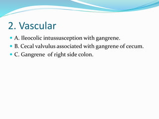 2. Vascular
 A. Ileocolic intussusception with gangrene.
 B. Cecal valvulus associated with gangrene of cecum.
 C. Gangrene of right side colon.
 