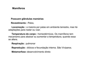 Mamíferos



  Possuem glândulas mamárias
  Revestimento : Pelos.
   Locomoção : a maioria por patas em ambiente terrestre, mas há
adaptações para nadar ou voar.
   Temperatura do corpo : homeotérmicos. Os mamíferos tem
mecanismo para abaixar ou aumentar a temperatura, quando essa
se altera.
  Respiração : pulmonar
  Reprodução : dióicos e fecundação interna. São Vivíparos.
  Metamorfose :desenvolvimento direto
 