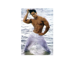 Hemicordados, protocordados e cordados[2]