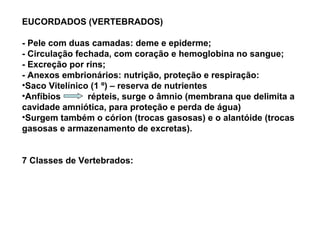 EUCORDADOS (VERTEBRADOS)

- Pele com duas camadas: deme e epiderme;
- Circulação fechada, com coração e hemoglobina no sangue;
- Excreção por rins;
- Anexos embrionários: nutrição, proteção e respiração:
•Saco Vitelínico (1 º) – reserva de nutrientes
•Anfíbios       répteis, surge o âmnio (membrana que delimita a
cavidade amniótica, para proteção e perda de água)
•Surgem também o córion (trocas gasosas) e o alantóide (trocas
gasosas e armazenamento de excretas).


7 Classes de Vertebrados:
 