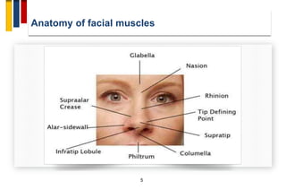 Anatomy of facial muscles
5
 