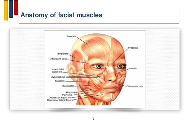 Facial Muscle Spasm 75