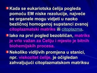 Hemijski sastav celije 2010.ppt prezentacija | PPT