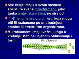 Hemijski sastav celije 2010.ppt prezentacija | PPT
