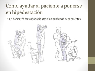 Como ayudar al paciente a ponerse
en bipedestación
• En pacientes mas dependientes y en px menos dependientes
 