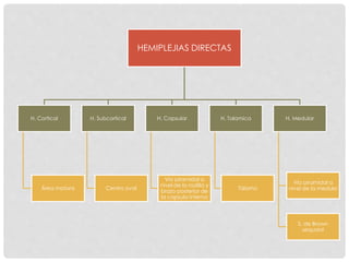 HEMIPLEJIAS DIRECTAS
H. Cortical
Área motora
H. Subcortical
Centro oval
H. Capsular
Vía piramidal a
nivel de la rodilla y
brazo posterior de
la capsula interna
H. Talamica
Tálamo
H. Medular
Vía piramidal a
nivel de la medula
S. de Brown
sequard
 