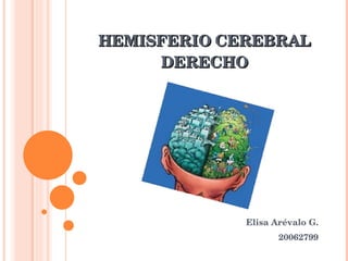 HEMISFERIO   CEREBRAL   DERECHO Elisa Arévalo G. 20062799 