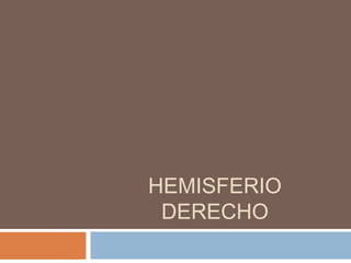 HEMISFERIO
 DERECHO
 