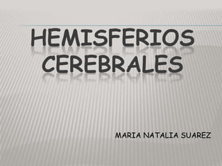 HEMISFERIOSCEREBRALES MARIA NATALIA SUAREZ 