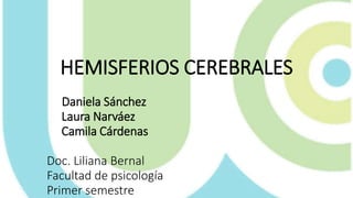 HEMISFERIOS CEREBRALES
Daniela Sánchez
Laura Narváez
Camila Cárdenas
Doc. Liliana Bernal
Facultad de psicología
Primer semestre
 