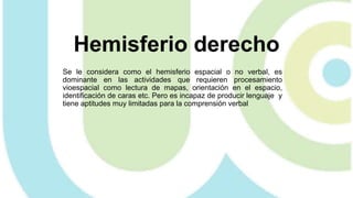 Hemisferio derecho
Se le considera como el hemisferio espacial o no verbal, es
dominante en las actividades que requieren procesamiento
vioespacial como lectura de mapas, orientación en el espacio,
identificación de caras etc. Pero es incapaz de producir lenguaje y
tiene aptitudes muy limitadas para la comprensión verbal
 