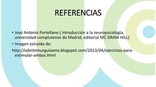 REFERENCIAS
• José Antonio Portellano ( introducción a la neuropsicología,
universidad complutense de Madrid, editorial MC GRAW HILL)
• Imagen extraida de:
http://odettemurguiaamx.blogspot.com/2013/04/ejercicios-para-
estimular-ambos.html
 