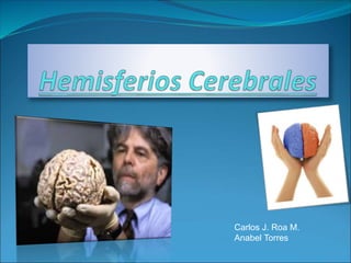 Carlos J. Roa M.
Anabel Torres