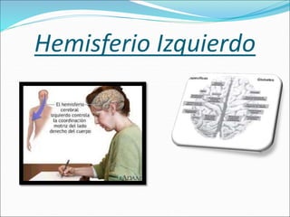 Hemisferio Izquierdo