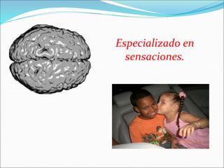 Especializado en
sensaciones.