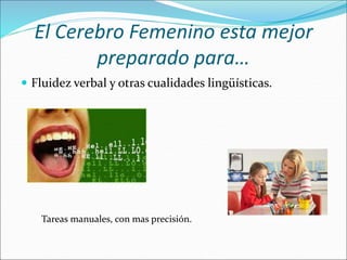 El Cerebro Femenino esta mejor
preparado para…
Fluidez verbal y otras cualidades lingüísticas.
Tareas manuales, con mas precisión.