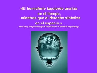 «El hemisferio izquierdo analiza  en el tiempo, mientras que el derecho sintetiza  en el espacio.»  Jerre Levy «Psychobiological Implications of Bilateral Asymmetry»     