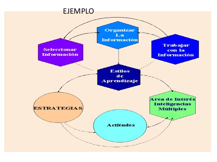 Hemisferios cerebrales