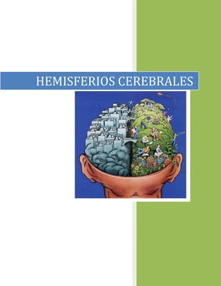 HEMISFERIOS CEREBRALES
 
