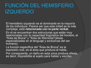 FUNCIÓN DEL HEMISFERIO
IZQUIERDO
El hemisferio izquierdo es el dominante en la mayoría
de los individuos. Parece ser que esta mitad es la más
compleja, está relacionada con la parte verbal.
En el se encuentran dos estructuras que están muy
relacionadas con la capacidad lingüística del hombre, el
"Área de Broca" y "Área de Wernicke"(áreas
especializadas en el lenguaje y exclusivas del ser
humano).
La función especifica del "Área de Broca" es la
expresión oral, es el área que produce el habla.
Por consiguiente, un daño en esta zona produce afasia,
es decir, imposibilita al sujeto para hablar y escribir.
 