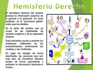 • El hemisferio derecho del cerebro
procesa la información pasando de
lo general a lo particular. En otras
palabras, ve el "panorama global"
antes que los detalles.
• Es la parte del cerebro que se
ocupa de las habilidades de
carácter subjetivo y de la capacidad
creativa.
• Este hemisferio ayuda a resolver los
problemas valiéndose de los
presentimientos, examinando los
modelos y las similitudes.
• En lugar de trabajar de forma
planificada, las personas que son
más bien de hemisferio derecho
actúan de forma espontánea y
prefieren la información abstracta e
incierta.
 