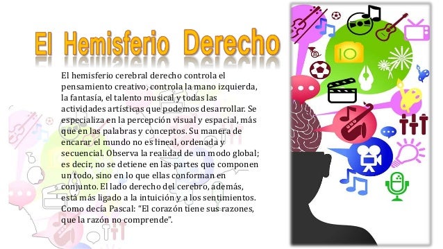 Resultado de imagen para hemisferio derecho del cerebro