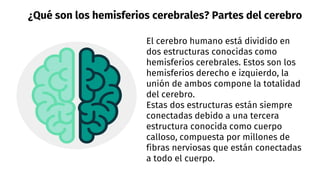 ¿Qué son los hemisferios cerebrales? Partes del cerebro
El cerebro humano está dividido en
dos estructuras conocidas como
hemisferios cerebrales. Estos son los
hemisferios derecho e izquierdo, la
unión de ambos compone la totalidad
del cerebro.
Estas dos estructuras están siempre
conectadas debido a una tercera
estructura conocida como cuerpo
calloso, compuesta por millones de
fibras nerviosas que están conectadas
a todo el cuerpo.
 