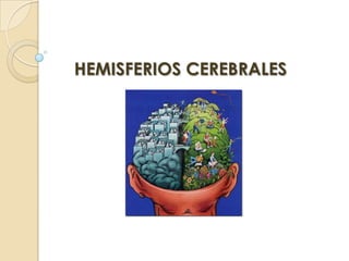 HEMISFERIOS CEREBRALES
 