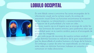 Hemisferios Cerebrales Y Lobulos Cerebrales Leon Aguirre Isui.pdf