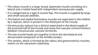 • The soleus muscle is a large, broad, bipennate muscle consisting of a
lateral and a medial head with independent neurovascular supply.
• It is categorised as a type II muscle flap. The muscle is supplied by large
and small vascular pedicles.
• The lateral and medial hemisoleus muscles are separated in the midline
by a septum, which is present in the distal part of the muscle.
• Intramuscular septum has a distinct watershed in the blood supply of
the proximal half of the muscle and many fine vascular communications
between intramuscular vascular territories.
• The two muscle heads join together to form the dorsolateral and
dorsomedial component of the Achilles tendon.
• This tendon, which is formed by the soleus and gastrocnemius muscles,
inserts on the calcaneum tuberosity.
 