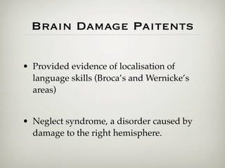 Brain Damage Paitents

• Provided evidence of localisation of
  language skills (Broca’s and Wernicke’s
  areas)


• Neglect syndrome, a disorder caused by
  damage to the right hemisphere.
 