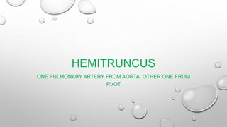 HEMITRUNCUS
ONE PULMONARY ARTERY FROM AORTA, OTHER ONE FROM
RVOT

 