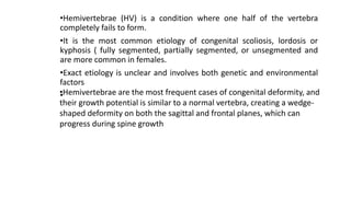 •Hemivertebrae (HV) is a condition where one half of the vertebra
completely fails to form.
•It is the most common etiology of congenital scoliosis, lordosis or
kyphosis ( fully segmented, partially segmented, or unsegmented and
are more common in females.
•Exact etiology is unclear and involves both genetic and environmental
factors
•
•Hemivertebrae are the most frequent cases of congenital deformity, and
their growth potential is similar to a normal vertebra, creating a wedge-
shaped deformity on both the sagittal and frontal planes, which can
progress during spine growth
 