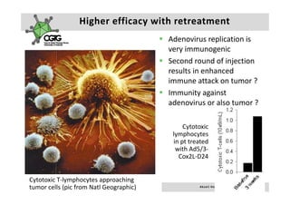 Higher efficacy with retreatment
                                         Adenovirus replication is 
                                         very immunogenic
                                         Second round of injection 
                                         results in enhanced 
                                         immune attack on tumor ?
                                         i          tt k t          ?
                                         Immunity against 
                                         adenovirus or also tumor ?
                                         adenovirus or also tumor ?

                                              Cytotoxic 
                                              Cytotoxic
                                          lymphocytes 
                                          in pt treated 
                                           with Ad5/3‐
                                           with Ad5/3
                                            Cox2L‐D24


Cytotoxic T‐lymphocytes approaching 
tumor cells (pic from Natl Geographic)              A k s e l i   H e m m i n k i       |     2 3  F e b  2 0 1 0    |    1 9
 
