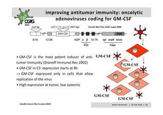 Improving antitumor immunity: oncolytic 
                              adenoviruses coding for GM‐CSF 
                              adenoviruses coding for GM CSF
                                             Cerullo Mol Ther ASGT suppl 2009

                                    GM‐CSF




• GM‐CSF is the most potent inducer of anti‐ GM-CSF
  GM CSF                                  anti G CS
tumor immunity (Dranoff Immunol Rev 2002)
                                                                                           GM-CSF
• GM‐CSF in E3: expression starts at 8h
⇒ GM‐CSF expressed only in cells that allow
replication of the virus
• Hi h expression at tumor, l systemic
  High          i           low         i

                                                  GM CSF
                                                  GM-CSF
                                                                                GM-CSF
 Cerullo Cancer Res in press 2010                                   A k s e l i   H e m m i n k i       |     2 3  F e b  2 0 1 0    |    2 0
 