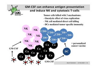 GM‐CSF can enhance antigen presentation 
            and induce NK and cytotoxic T cells
            and induce NK and cytotoxic T‐cells
                       Tumor cells killed with 3 mechanisms:
                       - Oncolytic effect of virus replication
                       - NK cell mediated direct cell killing
                       - DCs mediated tumor specific immunity
         NK     NK   CD8+ CD8+  CD8+
            NK   NK          CD8+ CD8+
                     CD8+
          NK               CD8+ CD8+
                NK
                                      = personalized
            NK         Ca Ca          cancer vaccine
GM-CSF            Ca
          Ca Ca       Ca
                      C            DC
       Ca          Ca     Ca

                        GM-CSF               A k s e l i   H e m m i n k i       |     2 3  F e b  2 0 1 0    |    2 1
 