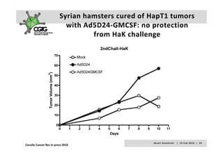 Syrian hamsters cured of HapT1 tumors 
                           with Ad5D24‐GMCSF: no protection 
                           with Ad5D24 GMCSF: no protection
                                  from HaK challenge




                                                   A k s e l i   H e m m i n k i       |     2 3  F e b  2 0 1 0    |    2 4
Cerullo Cancer Res in press 2010
 