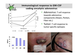 Immunological response to GM‐CSF 
                                coding oncolytic adenovirus
                                coding oncolytic adenovirus
                                               Adenovirus: T cell response 
                                               towards adenovirus 
                                               towards adenovirus
                                               components (Hexon, Penton, 
                                               Fiber etc.) 
                                                         )
                                               Tumor: T cell response to 
                                               tumor specific epitopes
                                               tumor specific epitopes



        6   CD8+
        5
10E+8
    8




        4
        3
        2
            0      17   41    48
                                                         A k s e l i   H e m m i n k i       |     2 3  F e b  2 0 1 0    |    3 0
 
