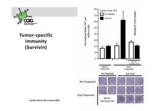 eceptor
                                                                                                  king of T‐Cell re
                                                                                              Block
Tumor‐specific 
  Immunity y
  (Survivin)




    Cerullo Cancer Res in press 2010   A k s e l i   H e m m i n k i       |     2 3  F e b  2 0 1 0    |    3 3
 
