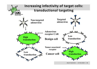 Increasing infectivity of target cells: 
       transductional targeting

       Non-targeted               Targeted
                                  T    t d
       adenovirus                 adenovirus



                      Adenovirus
                      receptor CAR
High                                           Low
transduction          Benign cell              transduction


                      Tumor associated
                         receptor
                             p
Low                                              High
transduction           Cancer cell               transduction


                                           A k s e l i   H e m m i n k i       |     2 3  F e b  2 0 1 0    |    3 8
 