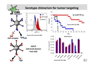 Serotype chimerism for tumor targeting 
                                                                                  120
  Ad5                                           CAR                               100                                                              3x 1x108 VP i.p.
                                                Ad3 receptor
                                                                                   80




                                                                  % Survival
                                                Negative 
                           M1
                                                                                   60

                                                                                   40                                              Kanerva Mol Ther 2003

                                                                                   20

                                                                                    0
                                                                                        15     25      35      45     55      65     75      85     95     105 115 125 135
                                                                                                                                    Day
                     Kanerva Clin Cancer Res 2002
                                                                                  1,E+06                                   Biodistribution
Ad3 receptor   CAR                                                                1,E+05




                                                               RLU / mg protein
                                                                                  1,E+04

                                                                                  1,E+03
                       Ad5/3                                                      1,E+02
                                                                                   ,
                 with knob domain 
                                                                                  1,E+01                                                                    *
                     from Ad3
                                                                                  1,E+00




                                                                                             Kanerva Mol Ther 2002 s e l i   H e m m i n k i       |     2 3  F e b  2 0 1 0    |    3 9
                                                                                                                Ak
 