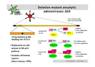 Deletion mutant oncolytic
                            adenoviruses: ∆24
                              d    i      ∆24

                                                            Fueyo Oncogene 2000
                                                            Heise Nature Med 2000




                                                    E2F                             • S-phase
                                         E2F Rb                                     • Virus replication
                         • normal cell
                         • wt Ad                    Rb E1A                            & cell lysis
                                            E1A
 24 bp deletion in Rb
 binding site of E1A
                         • normal cell   E2F Rb     E2F Rb                     • No S phase entry
                                                                                    S-phase
                         • ∆24                                                 • No virus replication
• Replication in cells                    ∆24-E1A    ∆24-E1A
  mutant in Rb-p16
            Rb p16
  pathway                                    E2F        E2F
                         • cancer cell   E2FE2F     E2FE2F                          • S-phase
                         • ∆24                                                      • Virus replication
• Includes all human                     ∆24 E1A
                                         ∆24-E1A     ∆24-E1A
                                                     ∆24 E1A                          & cell lysis
  cancers
  (Sherr Science 1996)                                A k s e l i   H e m m i n k i       |     2 3  F e b  2 0 1 0    |    4
 