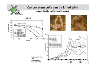 Cancer stem cells can be killed with 
     oncolytic adenoviruses
     oncolytic adenoviruses




  Eriksson Mol Ther
  2007
  Bauerschmitz
  Cancer Res 2008          A k s e l i   H e m m i n k i       |     2 3  F e b  2 0 1 0    |    4 1
 