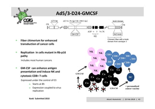 Ad5/3‐D24‐GMCSF



Fiber chimerism for enhanced 
transduction of cancer cells

Replication  in cells mutant in Rb‐p16               NK
                                                             NK
                                                                  CD8+
pathy                                                                         CD8+
                                                                             CD8+
                                                        NK                CD8+   CD8+
Includes most human cancers                                  NK
                                                                 CD8+        CD8+
                                                                       CD8+
                                                      NK    NK
GM‐CSF  can enhance antigen 
                                                        NK          Ca Ca
presentation and induce NK and 
                                          GM-CSF              Ca
cytotoxic CD8+ T‐cells                                Ca           Ca           DC
                                                         Ca
Expressed under the control of E3
                                                                Ca    Ca
          Starts at 8h                             Ca
                                                                                                          = personalized
          Expression coupled to virus                                    GM-CSF                           cancer vaccine
          replication
            p


       Koski  Submitted 2010                                      A k s e l i   H e m m i n k i       |     2 3  F e b  2 0 1 0    |    4 2
 