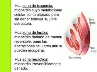 La zona de isquemia:
miocardio cuyo metabolismo
celular se ha alterado pero
sin dañar todavía su ultra
estructura.
La zona de lesión:
miocardio dañado de manera
reversible, pues las
alteraciones celulares aún se
pueden recuperar.
La zona necrótica:
miocardio irreversiblemente
dañado.
 