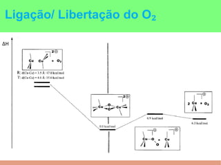 ΔH
Ligação/ Libertação do O₂
 