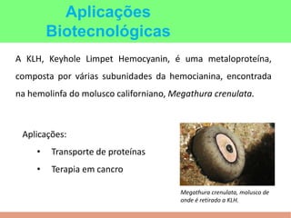 A KLH, Keyhole Limpet Hemocyanin, é uma metaloproteína,
composta por várias subunidades da hemocianina, encontrada
na hemolinfa do molusco californiano, Megathura crenulata.
Megathura crenulata, molusco de
onde é retirado a KLH.
Aplicações
Biotecnológicas
Aplicações:
• Transporte de proteínas
• Terapia em cancro
 